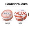 Everything You Need to Know About Nicotine Pouches in 2025