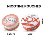 Everything You Need to Know About Nicotine Pouches in 2025