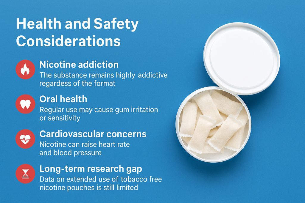 Health and safety considerations of tobacco free nicotine pouches with icons and container